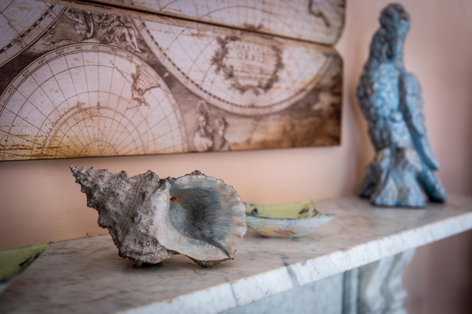 Darwin'S Townhouse Bed & Breakfast Shrewsbury Bilik gambar A conch shell
